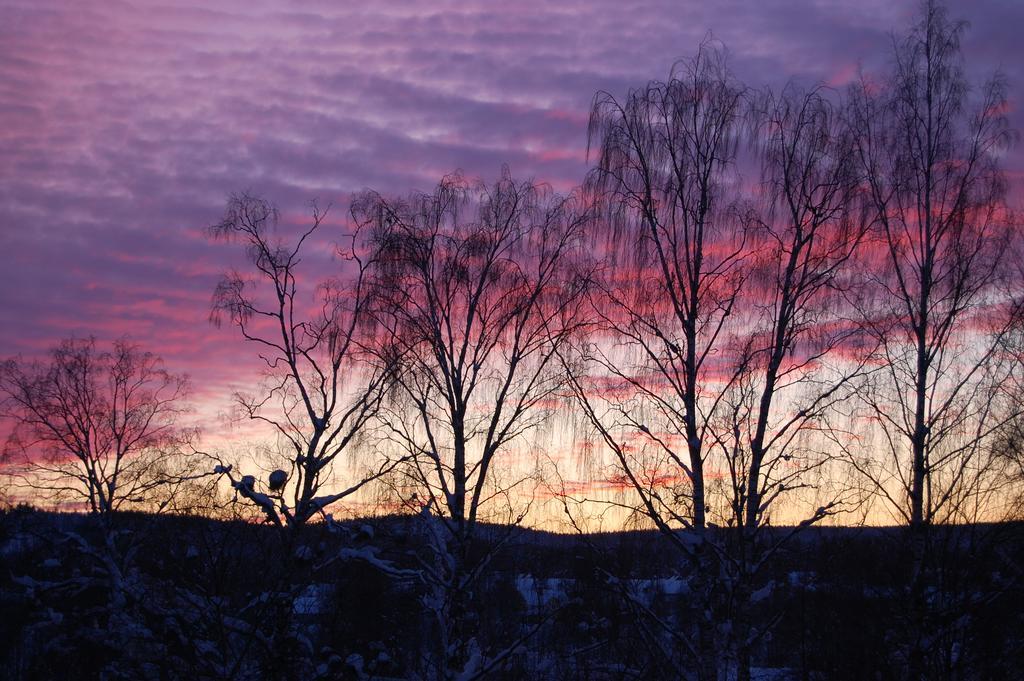 Brunnsgarden Bed & Breakfast Skellefteå Buitenkant foto